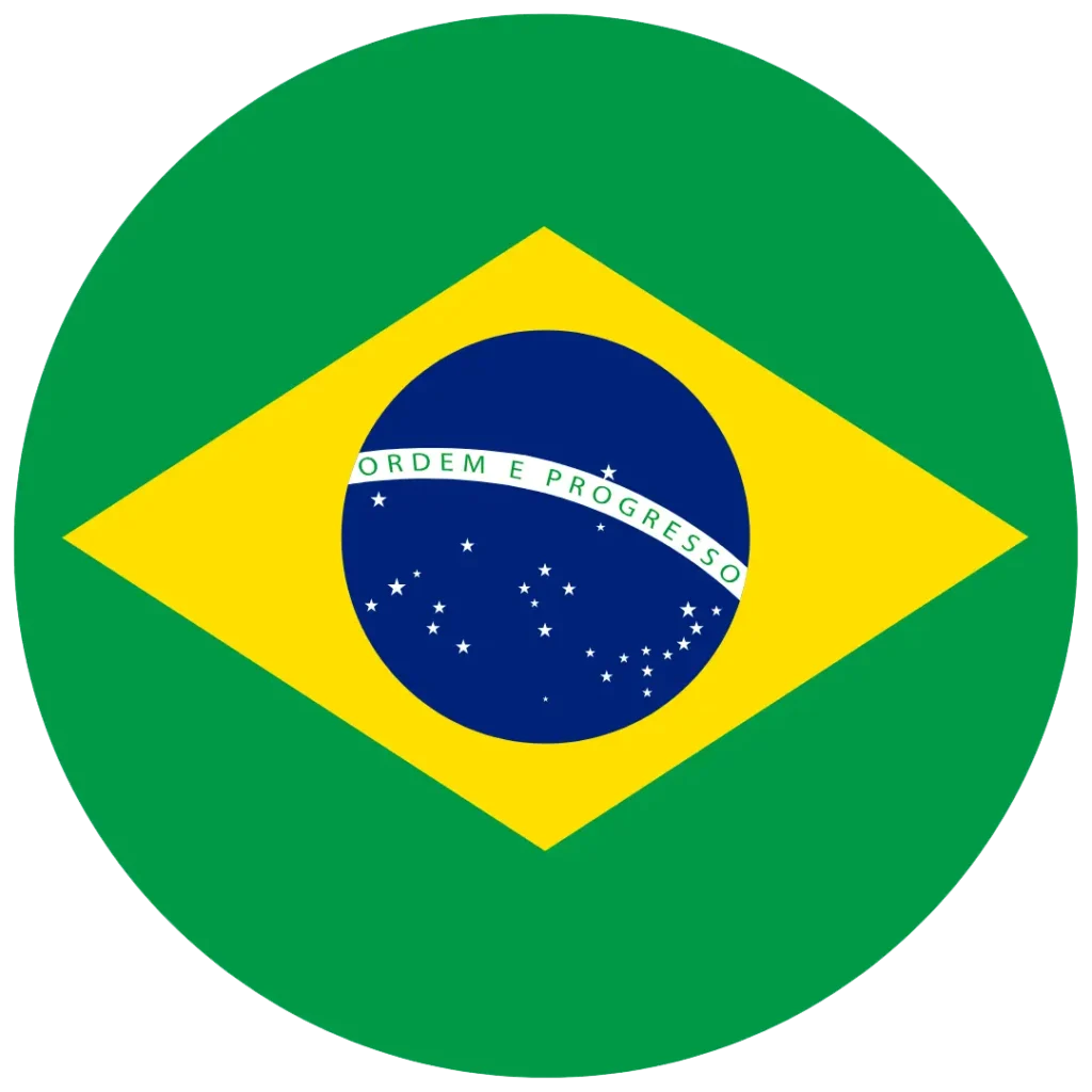 Ícone circular com a bandeira do Brasil e a frase Ordem e Progresso.